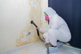 Best Post-Construction Mold Inspection  in Oglesby, IL